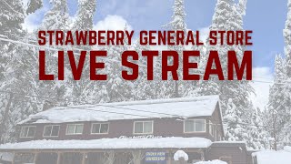 Strawberry General Store Live Stream