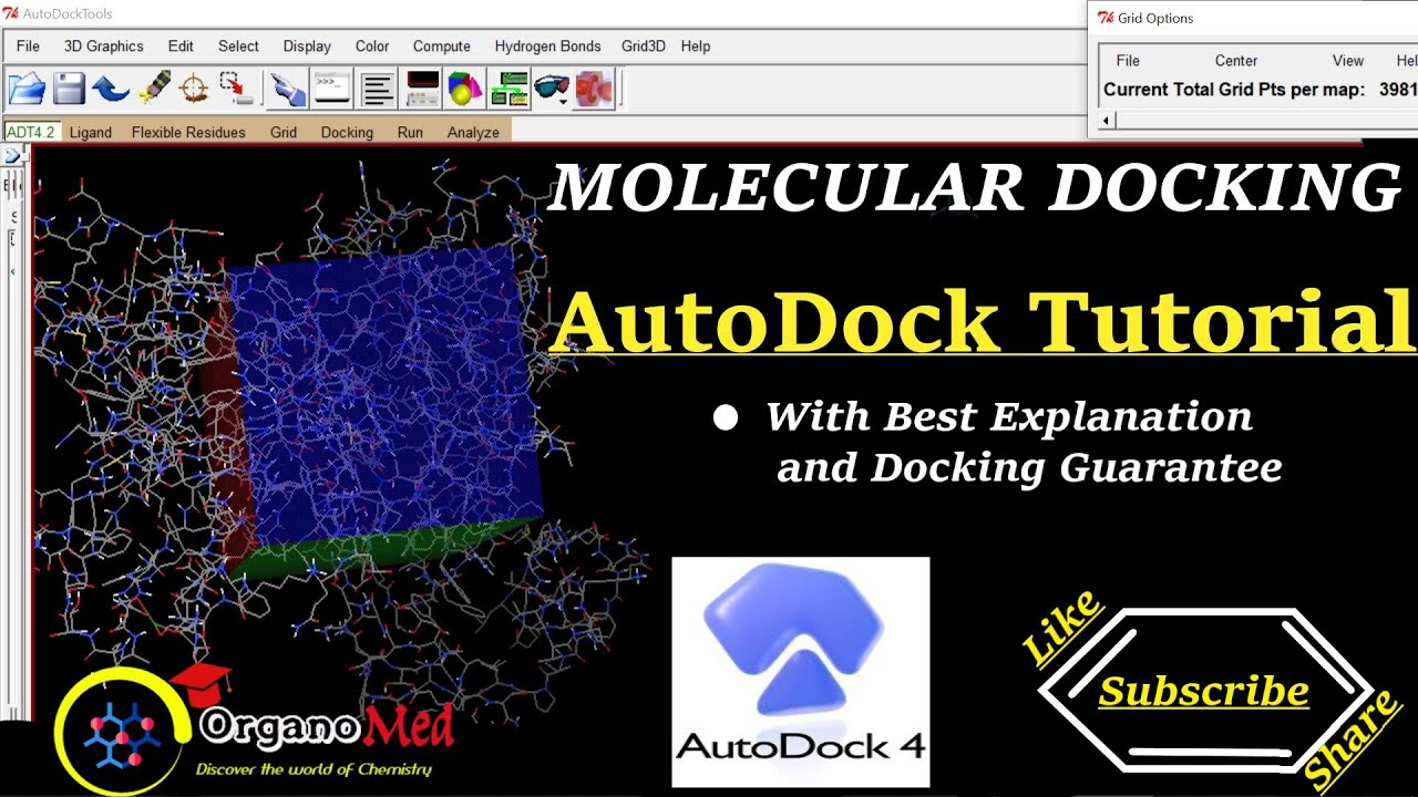 AutoDock Tutorial || Molecular Docking || Best And Easy Way || - YouTube