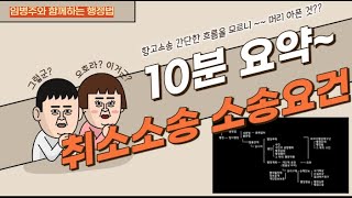 한눈에 보는 항고소송의 소송요건