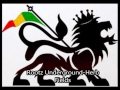 Rootz Underground - Herb Fields