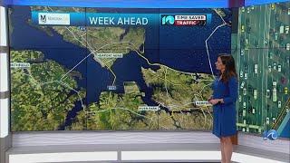 10 Time Saver Traffic Alert for the week ahead