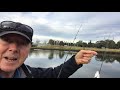 Maribyrnong river  fishing for mullet - they love spicy chicken!!