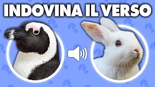 Indovina l'Animale dal Verso | Quiz Animali