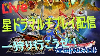 【Live配信】星ドラタイム！神チャレへの備え【ネタバレアリ】