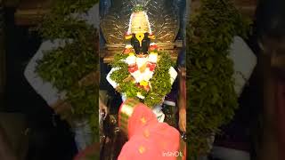 Today Vitthal darshan 3/2/2025 #today #darshan #music #shorts #viralvideo