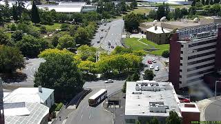 ABC Roundabout, Tas 2022 01 11