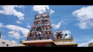 அருள்மிகு ஸ்ரீ சந்தனமாரியம்மன் முளைப்பாரி திருவிழா - 2021 | ரெங்கநாதபுரம் | ஸ்ரீவில்லிபுத்தூர்