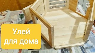 Необычный, стеклянный улей в разработке! ПРОЗРАЧНЫЙ УЛЕЙ!