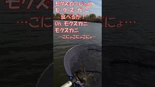 モクズガニが釣れた＠河北潟【へらぶな釣り】のつもり… #shorts