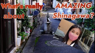 Amazing Shinagawa (Before you go to Shinagawa, watch this)　/　品川駅