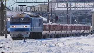 【貨物列車】大雪で雪原となった美濃赤坂駅にEF210桃太郎の牽く赤ホキ列車