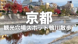 【晩秋の鴨川】京都の隠れた絶景散歩！紅葉と夕暮れが織りなす癒しの時間🦆