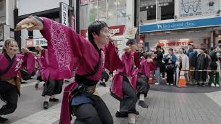 【4K】山口大学よさこいやっさん‼ 九州がっ祭2024 3/24下通4番街パレード(佐賀)