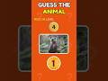 🐾 99% Fail to Guess These Animals! 🦓 Can You Beat the Challenge! #shorts