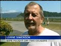 75 year old woman fights off two cougars