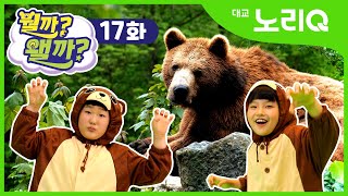 [CC SUB] 잘 보고 빠르게 탁! 곰 | 뭘까왤까 17화 | 대교 노리Q