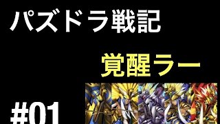 【パズドラ】かぐや姫 降臨【回復なし/覚醒無効】