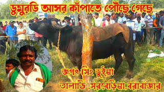 ডুমুরডি আসর কাঁপাতে পৌঁছে গেছে । জগৎ সিং ভুইয়া তালাডি#purulia kara lorai#viral#ডুমুরডি কাড়া লড়াই