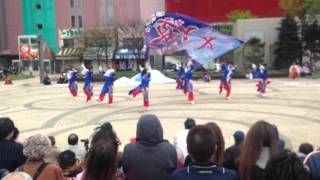 【2016AOMORI春フェスティバル】よさこい 十六夜桜組