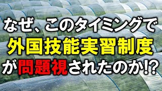 米国務省が日本の外国技能実習制度を問題視！なぜ、このタイミングで問題視されたのか！？