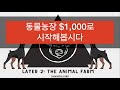 동물농장 디파이 애니멀팜 $1000으로 시작 전략