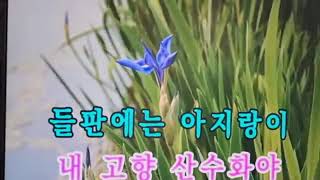 손정익가수 (원곡)내고향 의성  -주흥길가수 (커버송) 손정익TV