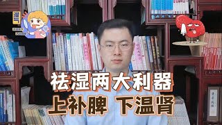 斩断湿气之根有效利器——升阳！我只用两招 上补脾 下温肾