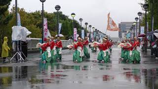 大和いろは　第14回泉州よさこい　ゑぇじゃないか祭り　海への道会場　４ｋ