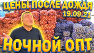 Одесса Рынок Початок 19.09.2021 / Обзор оптовых цен после дождя