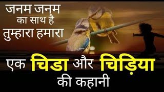 चिड़िया और  चिडोता की कहानी#sachcha_pyaar#trueline #truelove#trending#mohobbat #faith#video
