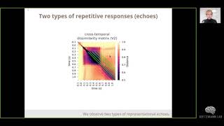 Two types of representational echoes in the human visual system (Neuromatch 40 edition)