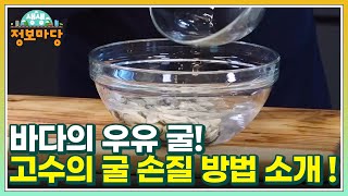 바다의 우유 굴! 고수의 굴 손질 방법 소개 ! MBN 221129 방송