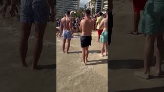 Beach Goers Attempt to Rescue Marlin || ViralHog