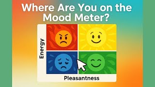 G5.1.4 The Mood Meter Adventure