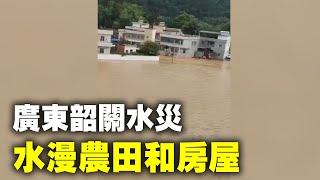 5月17日廣東韶關南雄市，暴雨引發多個村鎮洪澇災害，洪水漫過農田和房屋，很多村民被困無法逃離。街道被淹，一片汪洋。村民稱百年一遇的暴雨水災。| #大紀元新聞網