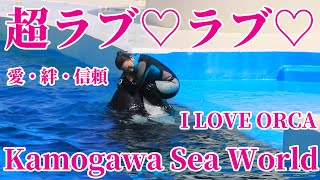 鴨川シーワールド シャチパフォーマンス終了後のラブラブタイム!! kamogawaseaworld