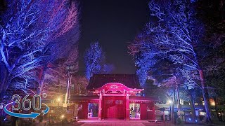 【VR 360°】【日本 埼玉】散步 in 秩父神社ライトアップ