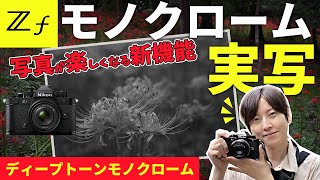 Nikon Zf 実写 色々なレンズをつけたりモノクローム撮影をしてみた 彼岸花撮影