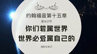 【读圣经】约翰福音第15章18-27节 — 你们若属世界 世界必爱属自己的｜#祢的话 #祷告