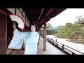 京都の仁和寺と芸妓の叶和佳さん ドローン撮影 drone footage of geiko at ninnaji temple in kyoto japan