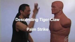 TanDao Fight Lab #1 Advanced Palm Strikes