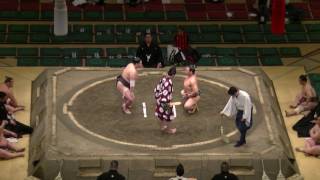 桜児竜-末川/2017.5.22(3)/okoryu-suekawa/day9 #sumo