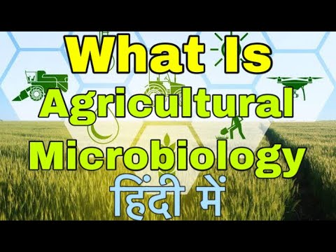 What is agricultural microbiology? In Hindi #Shorts #Youtubeshorts #Microbiology #Biology