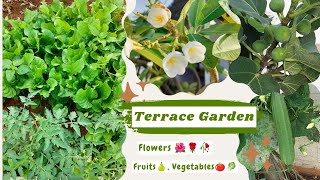 Beautiful Terrace Garden #టెర్రేస్ గార్డెన్ లో flowers #మిద్దె తోటలో ఆకు కూరలు పెంచడం#leafyvegetable