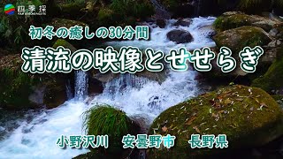 30 minutes of healing in early winter, clear stream footage and babbling in a valley in Nagano Pref.