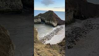 Flamborough, UK🇬🇧 #england #travel #uk #flamborough #seals #animals #funnyshorts #nature