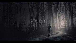 Aries Field