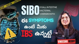 Main Cause of IBS | SIBO in Telugu | Solution for IBS in Telugu | What is SIBO -  Vineesha Reddy