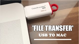 How to TRANSFER Files From a USB To a Mac | New