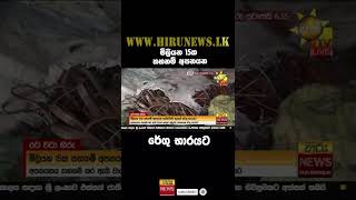 මිලියන 15ක තහනම් අපනයන රේගු භාරයට - Hiru News